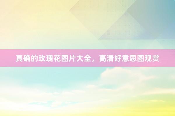 真确的玫瑰花图片大全，高清好意思图观赏