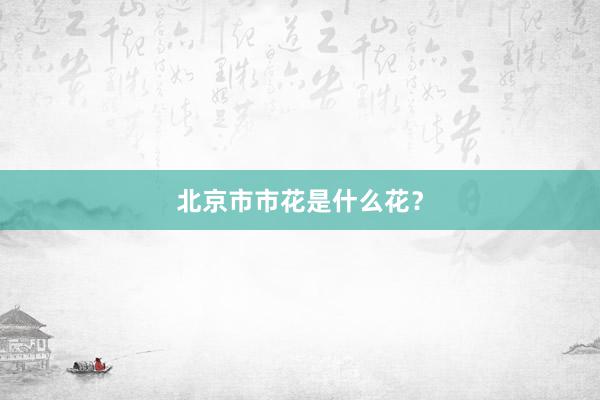 北京市市花是什么花？