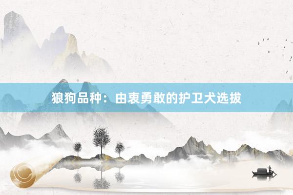 狼狗品种：由衷勇敢的护卫犬选拔