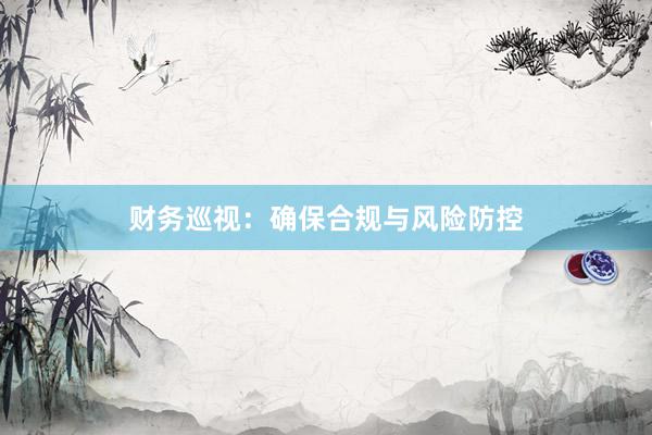 财务巡视：确保合规与风险防控
